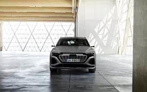 Cars wallpapers Audi Q8 55 e-tron quattro - 2022