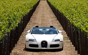 Cars wallpapers Bugatti Veyron Grand Sport Roadster US-spec - 2009