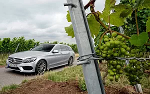 Cars wallpapers Mercedes-Benz C250 Estate AMG Line - 2014