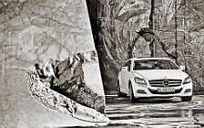 Cars wallpapers Mercedes-Benz CLS250 CDI Shooting Brake - 2012