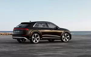 Cars wallpapers Audi Q8 55 TFSI e quattro - 2024