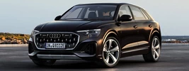 Audi Q8 55 TFSI e quattro - 2024