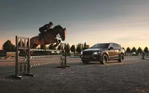 Cars wallpapers Bentley Bentayga Belgian Equestrian Collection by Mulliner - 2022