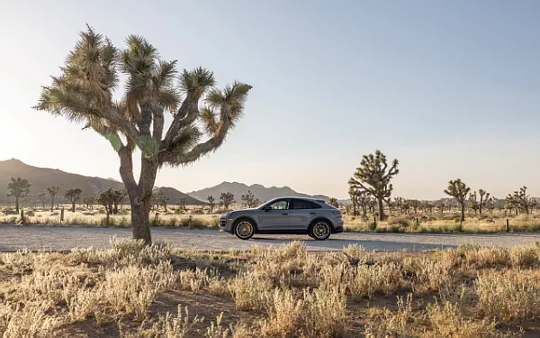 Cars wallpapers Porsche Cayenne Turbo GT US-spec - 2023