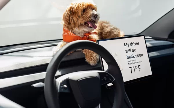 Cars wallpapers Tesla Model 3 Standard - 2025